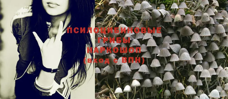 где купить наркоту  Лабытнанги  Галлюциногенные грибы MAGIC MUSHROOMS 